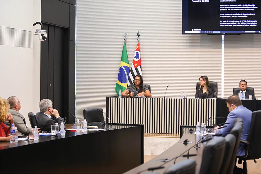 Defensora pública fala na Alesp sobre trabalho da instituição após tragédia das chuvas em São Sebastião