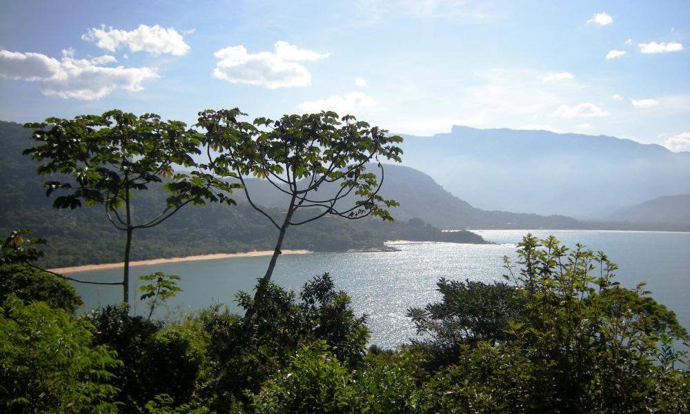 Ubatuba, no litoral norte de São Paulo | Foto: Wikimedia Commons