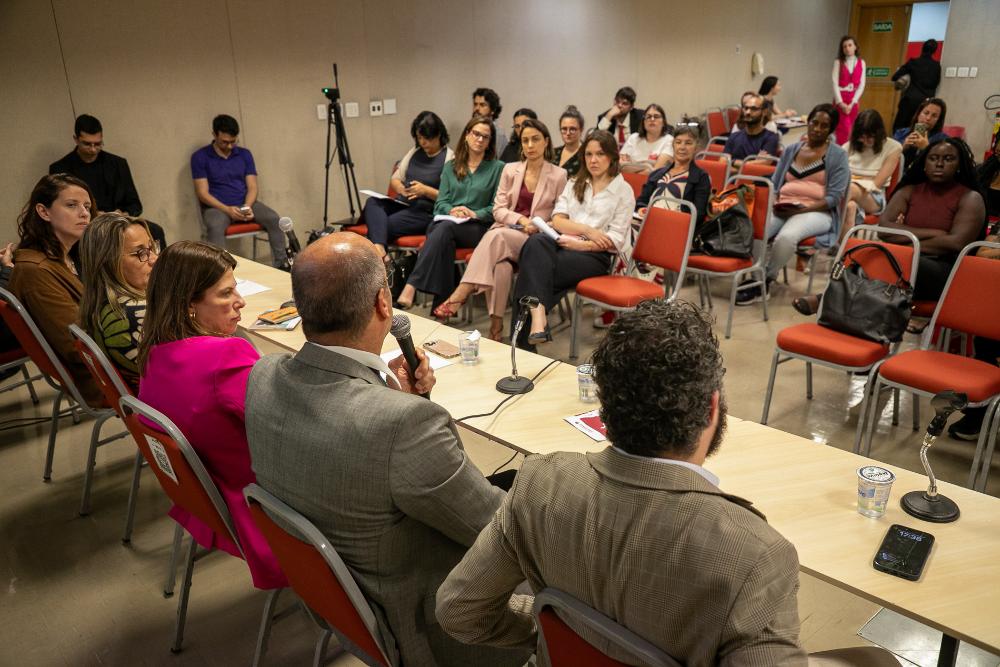 Audiência Pública sobre a política institucional Mães em Cárcere