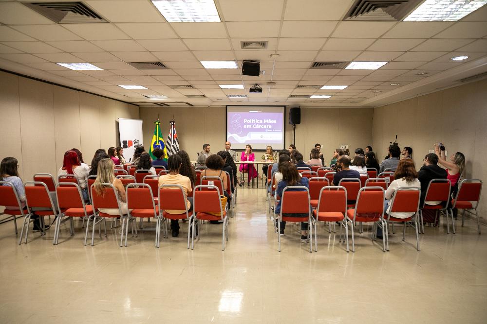 Audiência Pública sobre a política institucional Mães em Cárcere