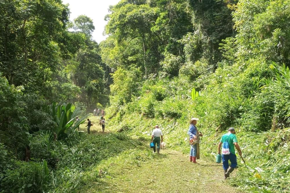 Defensor salientou ainda a importância das roças, caracterizadas por diversidade de culturas e por agricultura camponesa itinerante, a qual faz uso do fogo, mas que mantém baixíssimo impacto ambiental