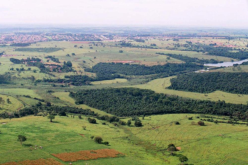 Objetivo é possibilitar a aproximação dos responsáveis pela gestão do local, otimizar os trabalhos de reflorestamento e estudo ambiental, e monitorar de perto os casos de incêndio l Foto: Acervo Instituto Florestal